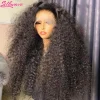 13×6 Hd Lace Frontal Wig Deep Wave 250 Density Curly Human Hair 100% Preplucked Water Wave Front Wigs For Black Women Brazilian